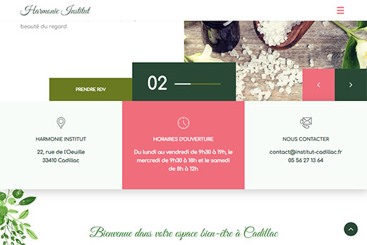 institut-cadillac.fr, site web réalisé par l'agence Gadvert à Bordeaux